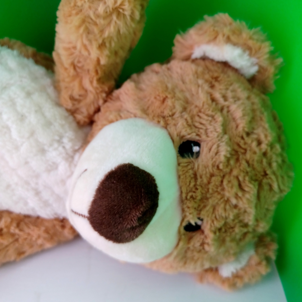 Cute Brown and White Teddy Bear - Picture 3 of 8